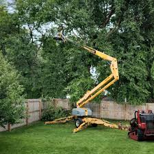 Best Lot and Land Clearing  in Richwood, TX